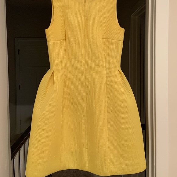 Ready for Spring Dress - Picture 2 of 4